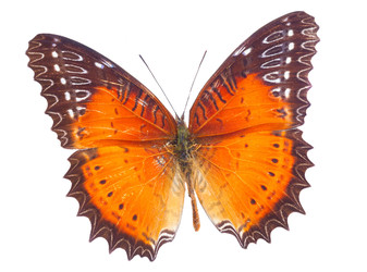 Similar image 22457920