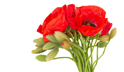 Similar image 22457934