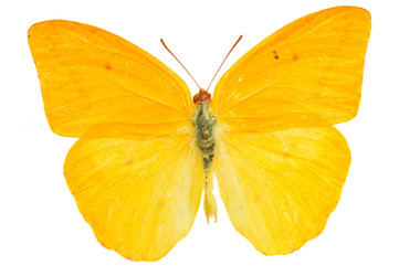 Similar image 22457936