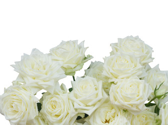 Similar image 22457950