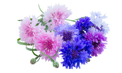 Similar image 22457951