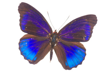 Similar image 22457964