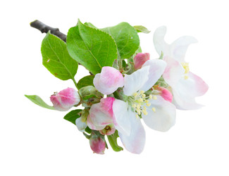 Similar image 22457965