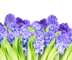 Similar image 22457966