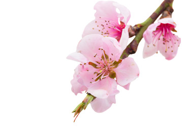 Similar image 22457979