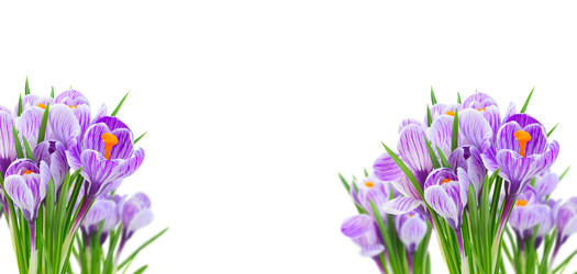 Similar image 22457981