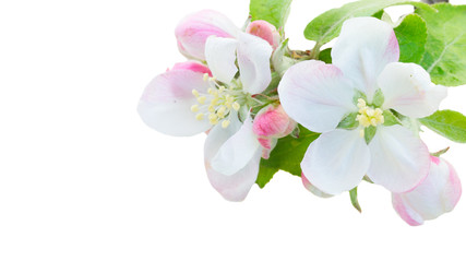 Similar image 22458010