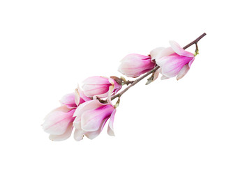 Similar image 22458023