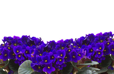 Similar image 22458024