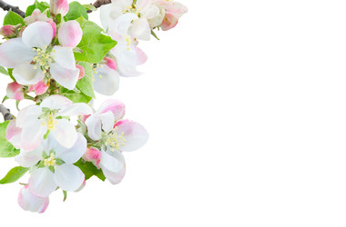 Similar image 22458025