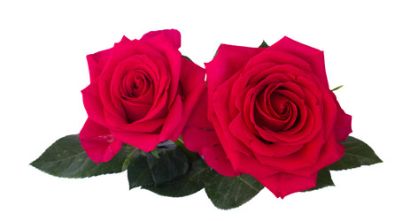 Similar image 22458054