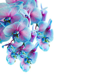 Similar image 22458056