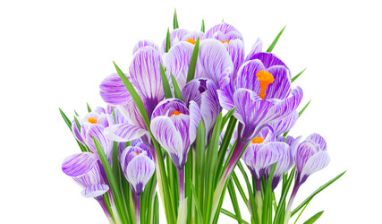 Similar image 22458068