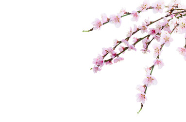 Similar image 22458069