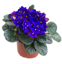 Similar image 22458084