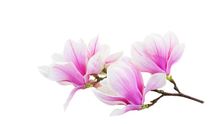 Similar image 22458085