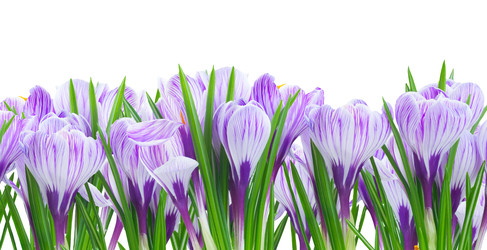 Similar image 22458097