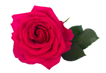 Similar image 22458098