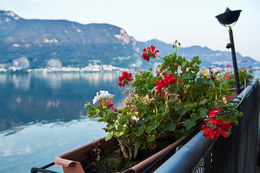 Similar image 22442494