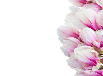 Similar image 22458112