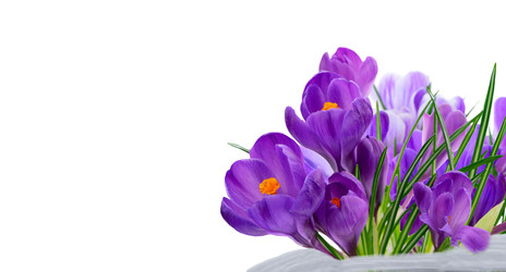 Similar image 22458114