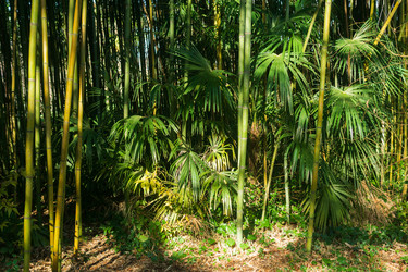 Similar image 22442809