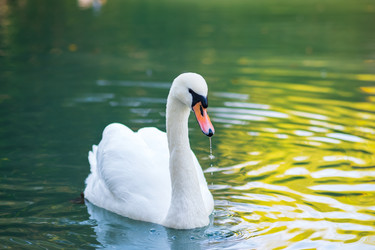 Similar image 22442810