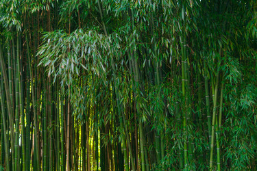 Similar image 22442811