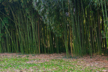 Similar image 22442883