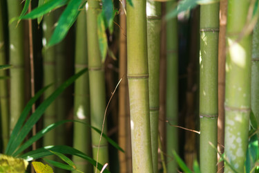 Similar image 22442884