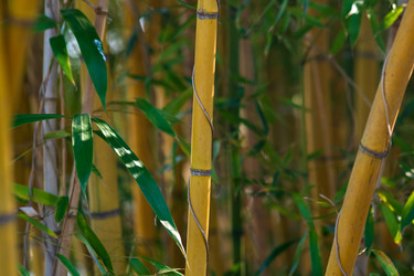 Similar image 22442886