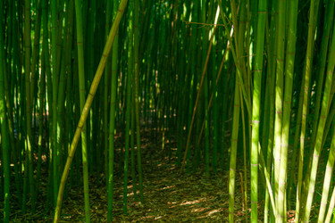 Similar image 22442887