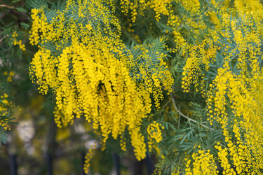 Similar image 22442888