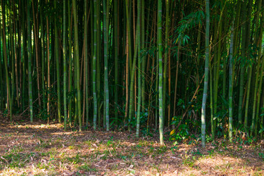 Similar image 22442889