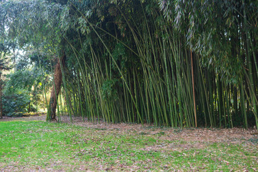 Similar image 22442890