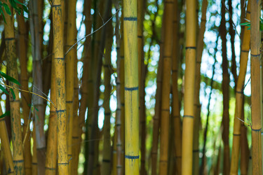 Similar image 22442891