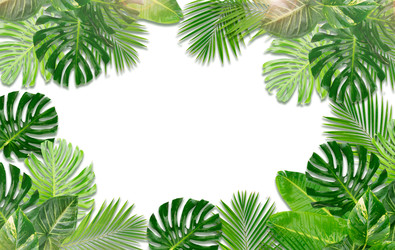 Similar image 22458173