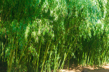 Similar image 22442894