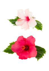 Similar image 22457011