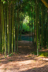 Similar image 22442896