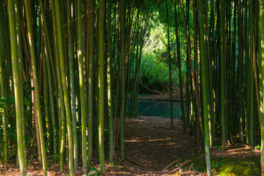 Similar image 22442897