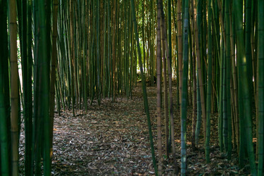 Similar image 22442900