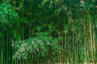 Similar image 22442901