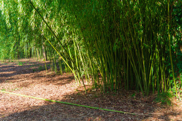 Similar image 22442902