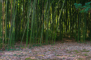 Similar image 22442903