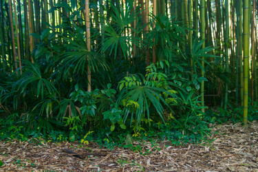 Similar image 22442905