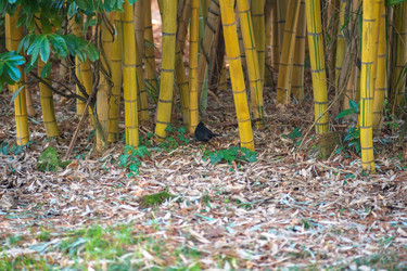 Similar image 22442906