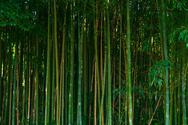 Similar image 22442907