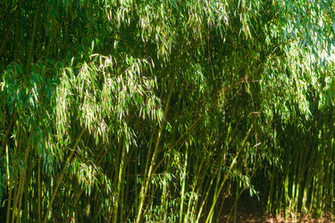 Similar image 22442908