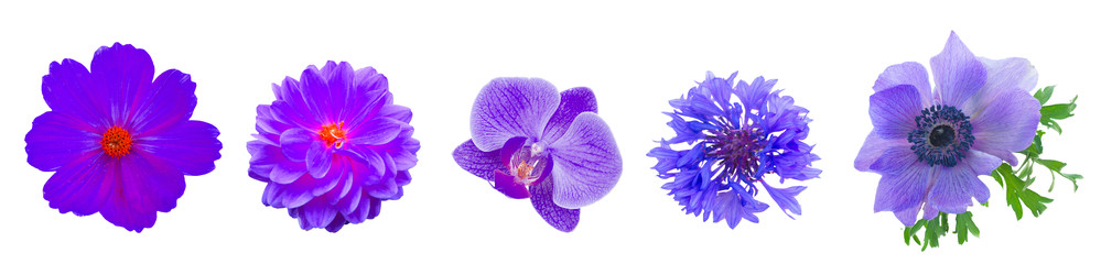 Similar image 22457072